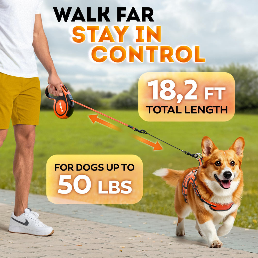 Chew-resistant cable on IWOOFI leash protects during playful puppy sessions