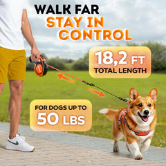 Chew-resistant cable on IWOOFI leash protects during playful puppy sessions