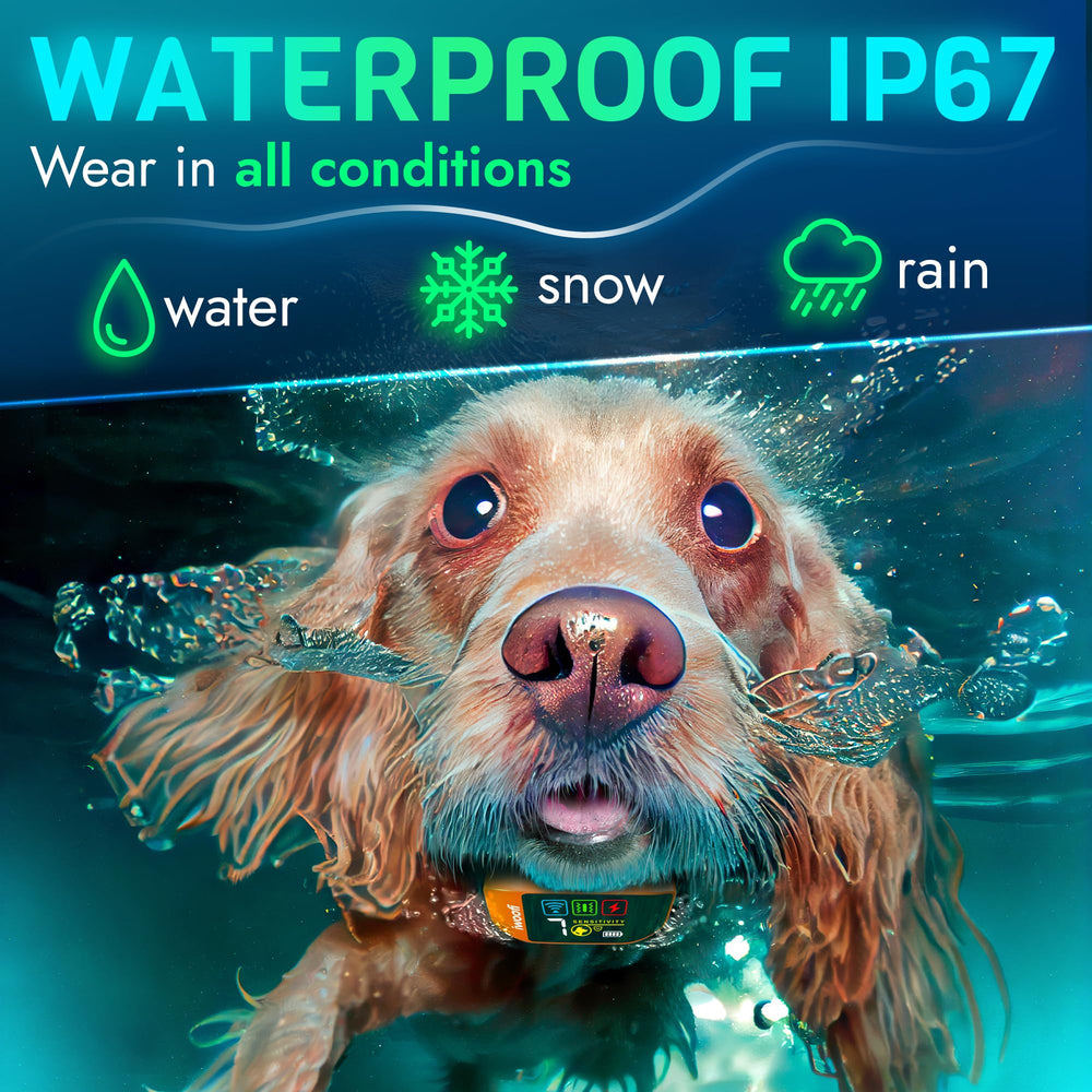 IWOOFI dog training sensor demo highlighting automatic barking detection