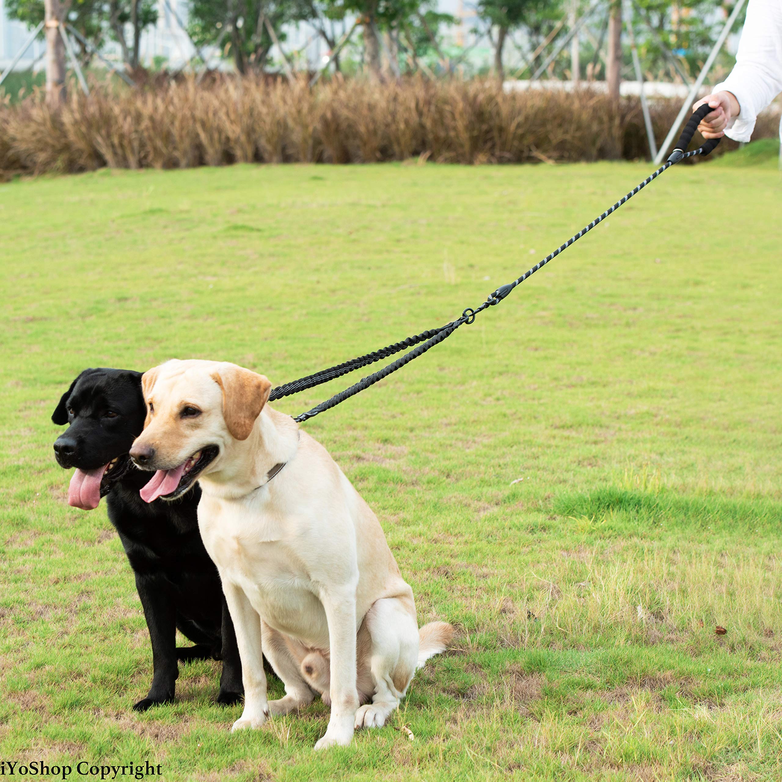 Designed for two dogs (8–35 lbs each) on urban and outdoor adventures.