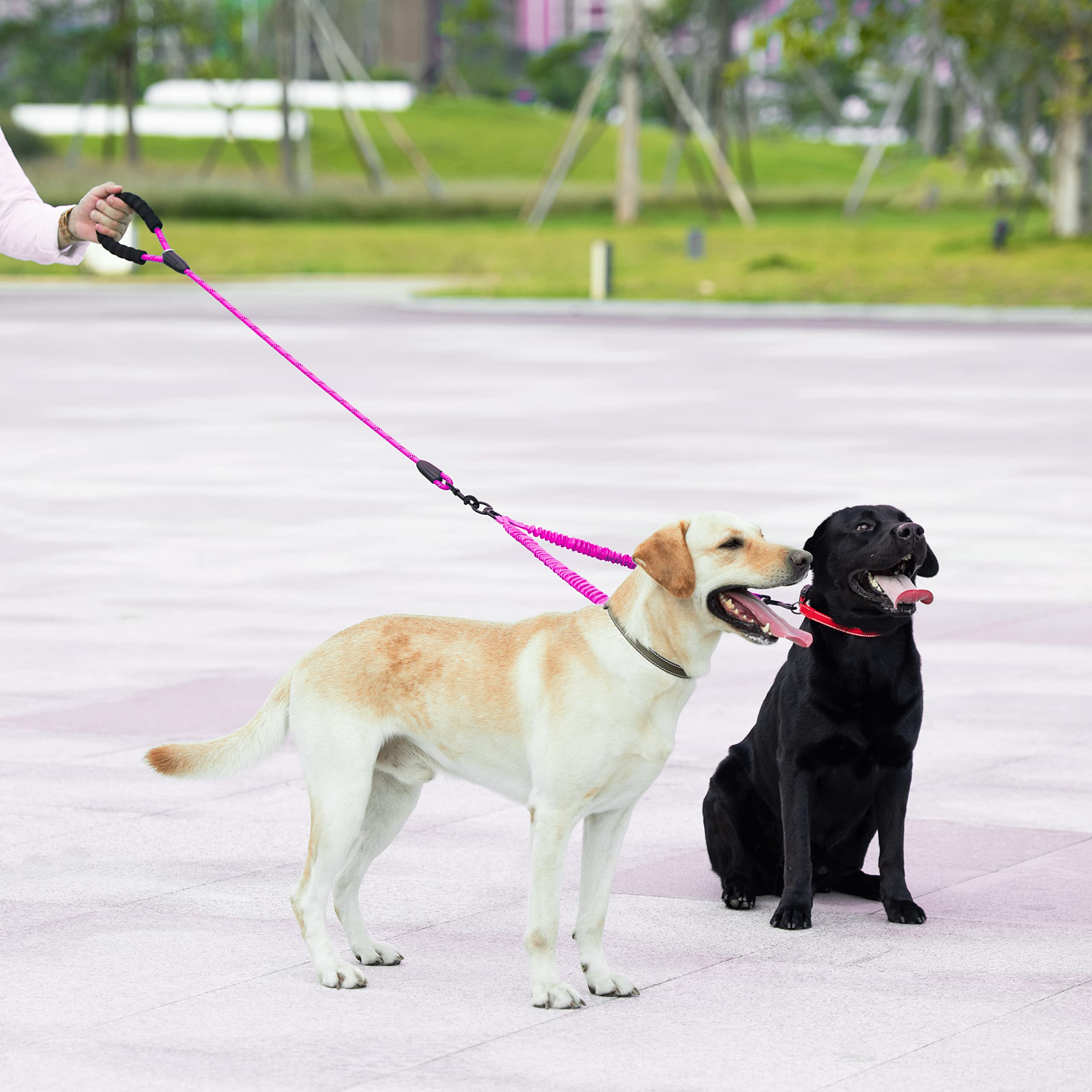iYoShop pink color helps you spot dogs easily.