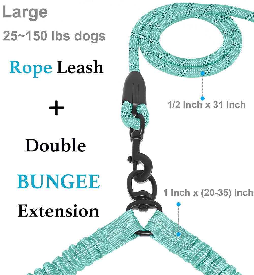 iYoShop dual dog leash showing bungee extension from 20 to 35 inches.