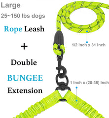 iYoShop dual leash with bungee extension absorbs shock during energetic dogs