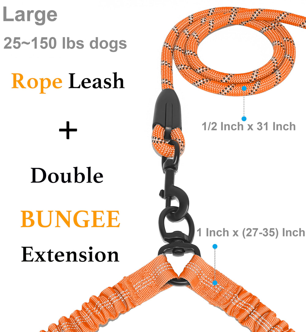 iYoShop Dual Dog Leash double-bungee extension improves shock absorption during active walks.