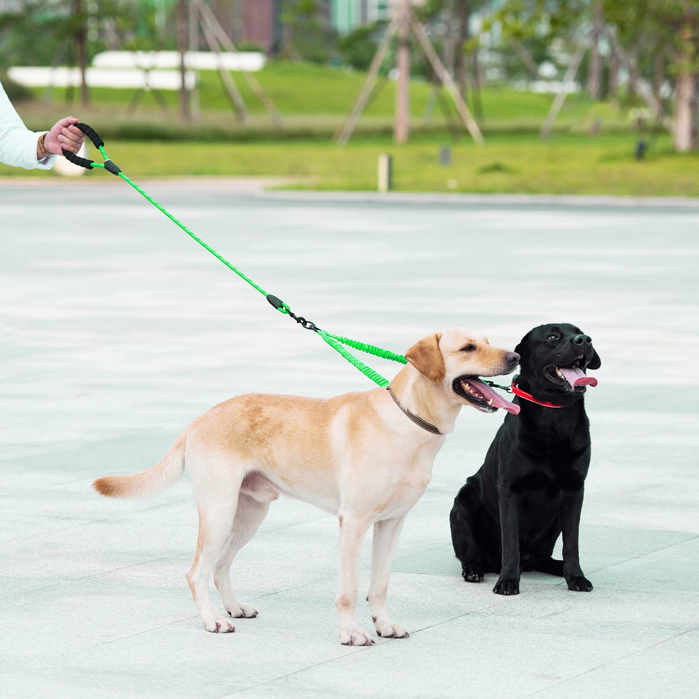 iyoshop Dual Dog Leash emerald color adds bold style.
