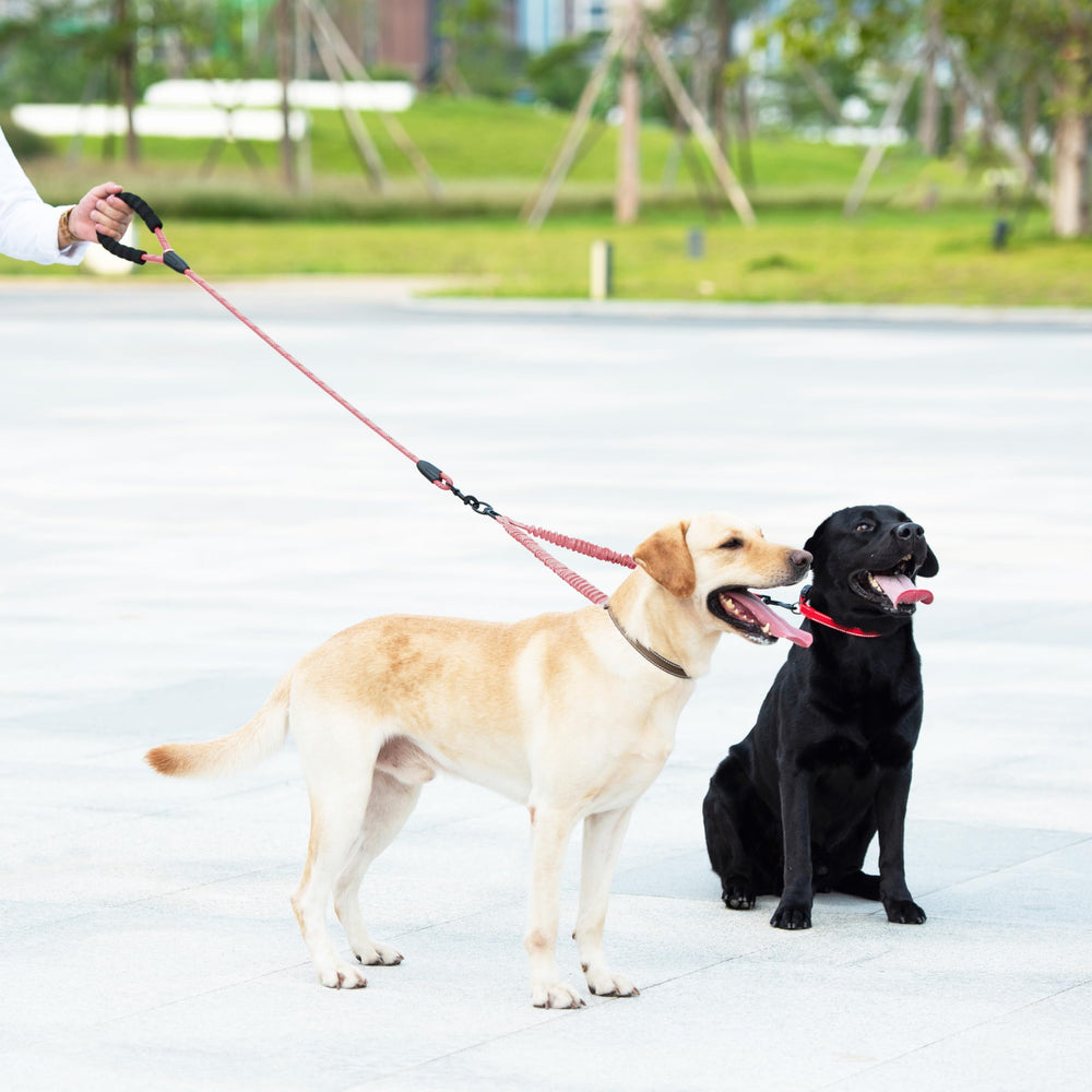 iYoShop Adjustable length from 20 to 35 inches for two-dog spacing.
