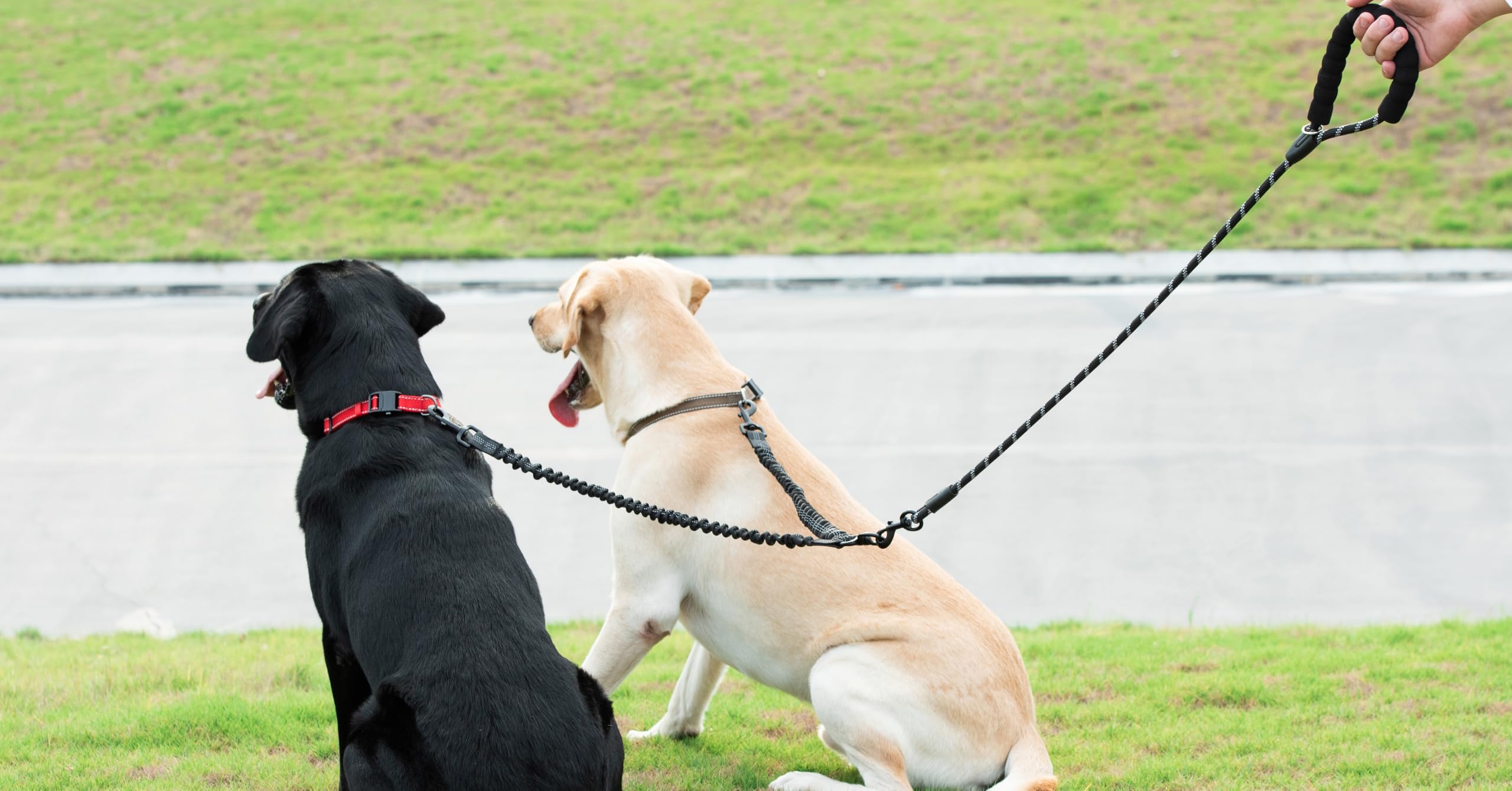 iYoShop Suitable for large dogs 25–150 lbs during daily park strolls.