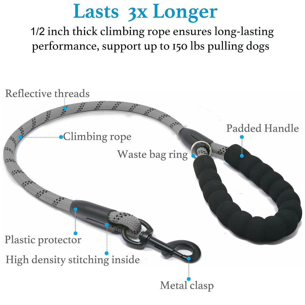 iYoShop Dual Dog Leash tangle-free clasp keeps dogs moving freely side to side