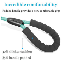 iYoShop tangle-free design keeps dogs from crossing paths.