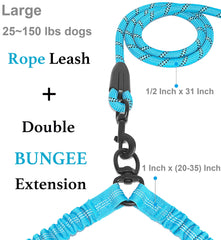 iYoShop Dual Dog Leash demonstrates tangle-free design for smooth two-dog walks.