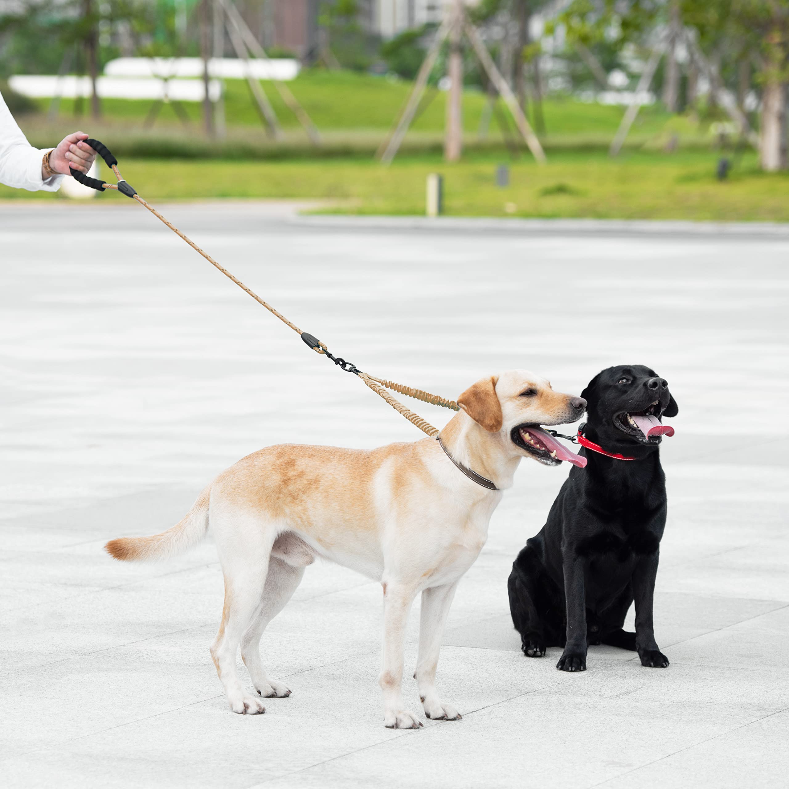 iYoShop Dual Dog Leash supports walking two dogs with ease