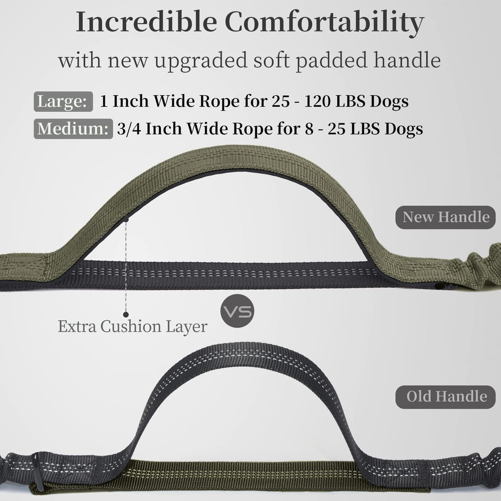 iYoShop leash showing durable 2-inch clip and D-ring for safety and training