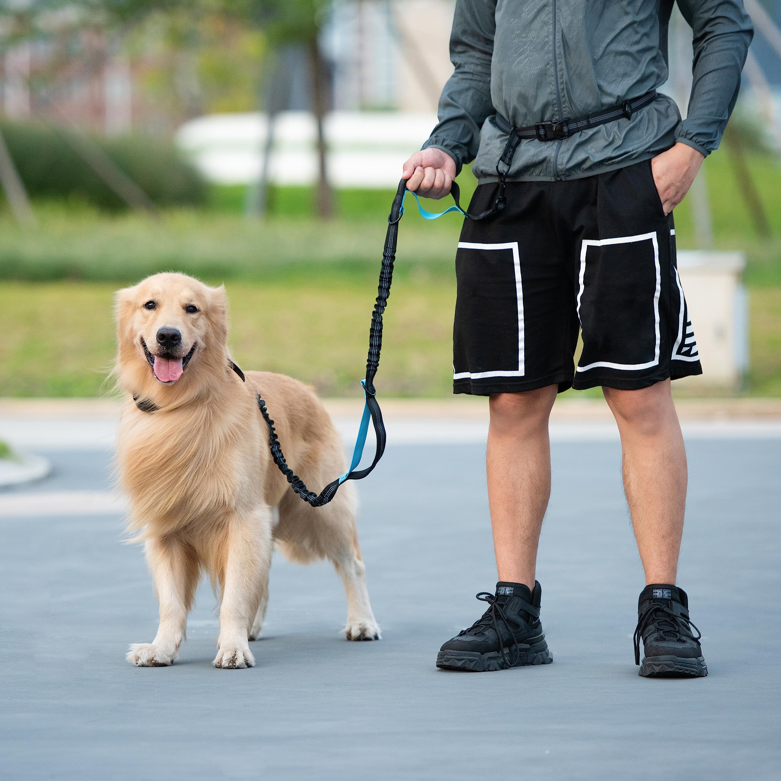 iYoShop Hands Free Leash in True Navy complements many breeds and outfits.