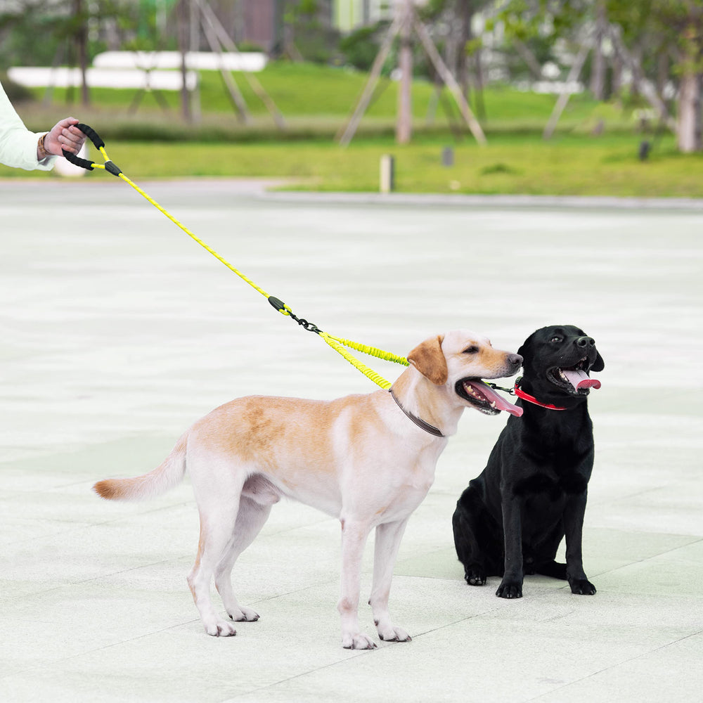 iYoShop two-dog leash provides balanced control for walking two dogs