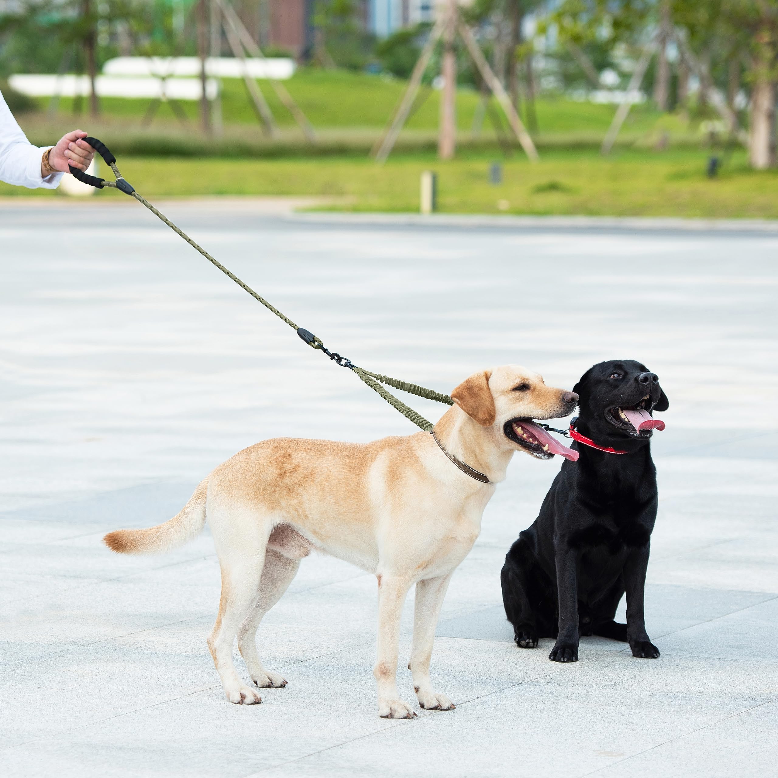 iYoShop dual dog leash enabling two dogs to walk side by side