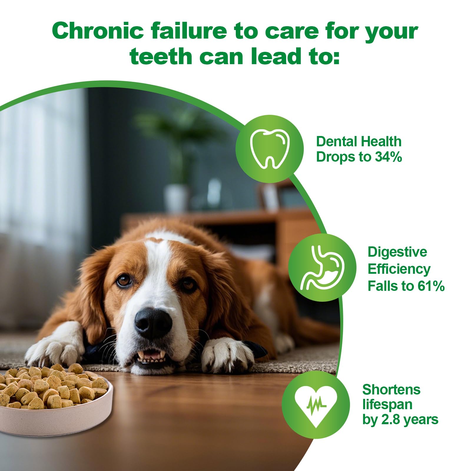 IZHXE dog breath freshness scene highlighting easy application after meals.