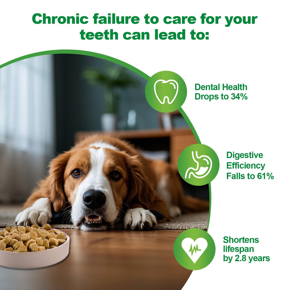 IZHXE dog breath freshness scene highlighting easy application after meals.