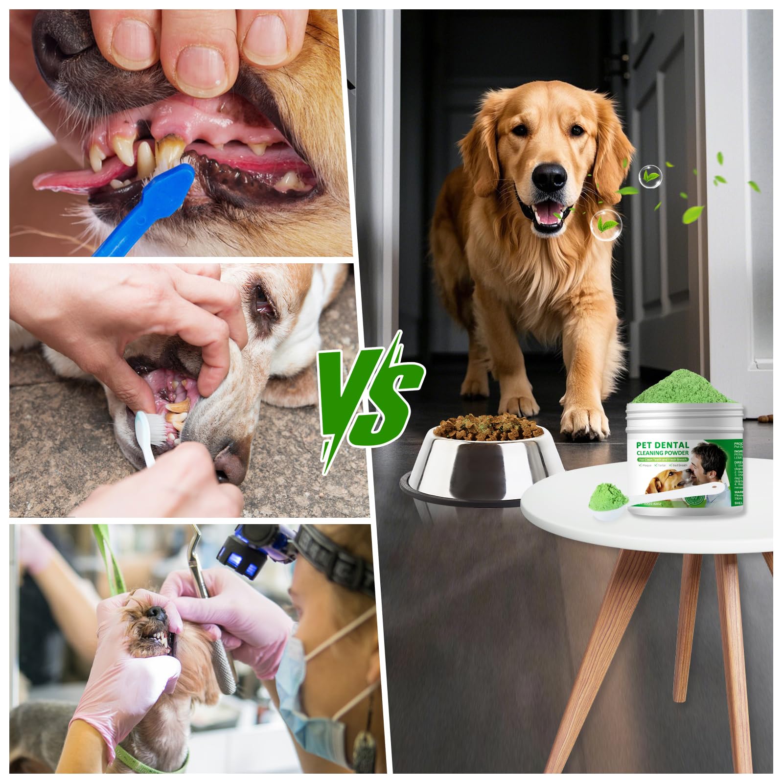IZHXE pet oral care daily routine visual for home use.