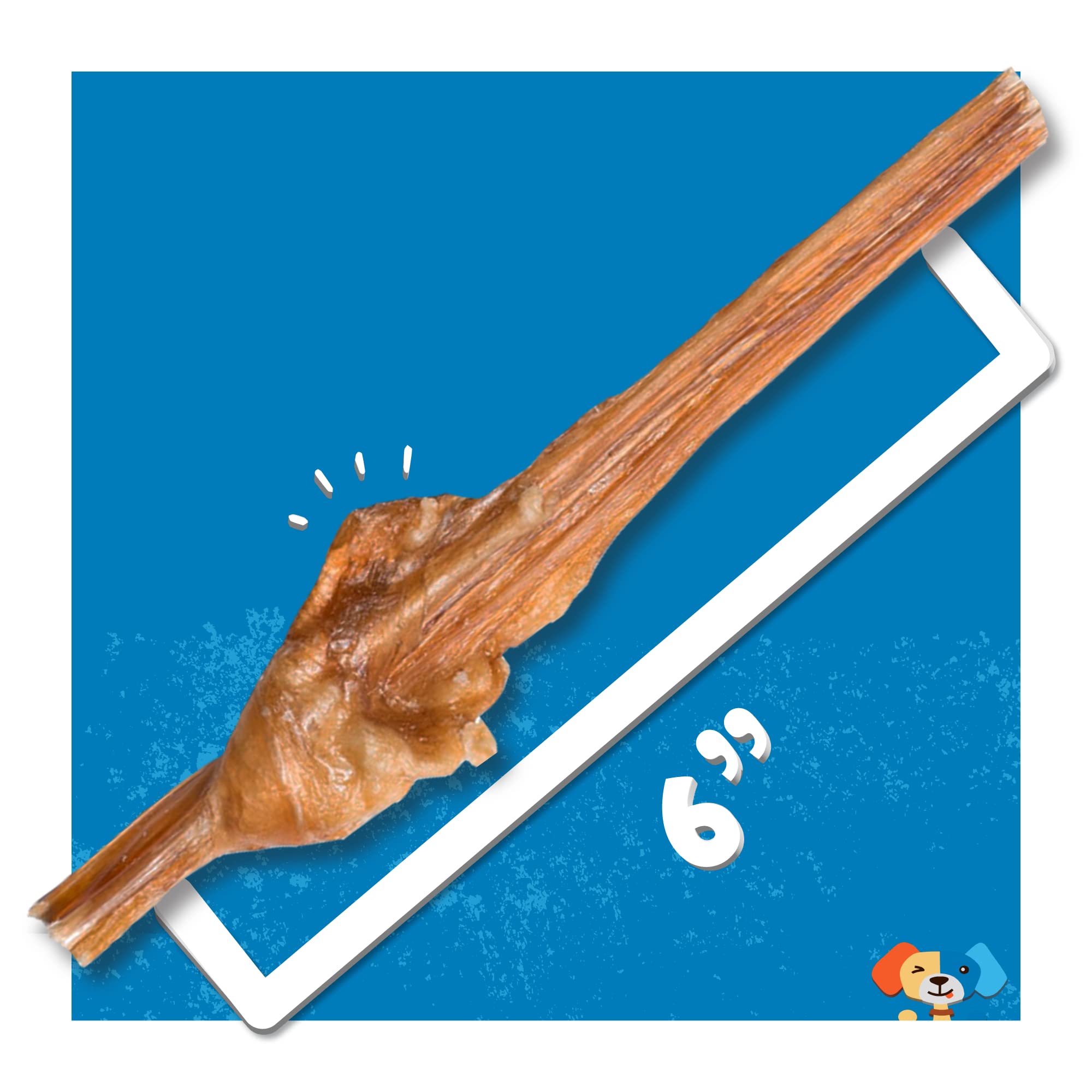 Jack&Pup 6 Inch Bully Stick for small dogs with single-ingredient beef bladder