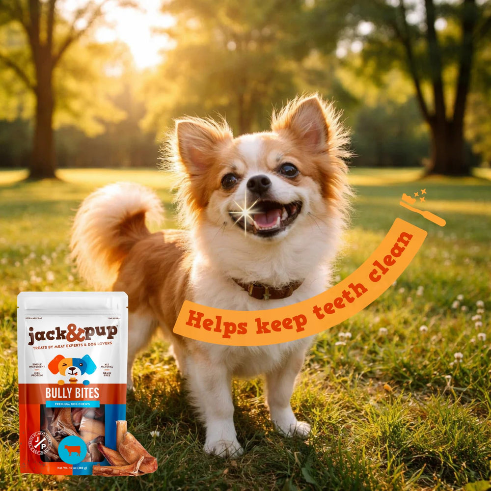 Dental-friendly chew for small breeds from Jack&Pup Bully Bites.