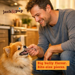 Jack&Pup Bully Bites puppy chewing during playtime.