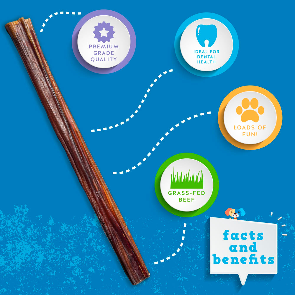 Puppy teething relief with Jack&Pup thin bully sticks