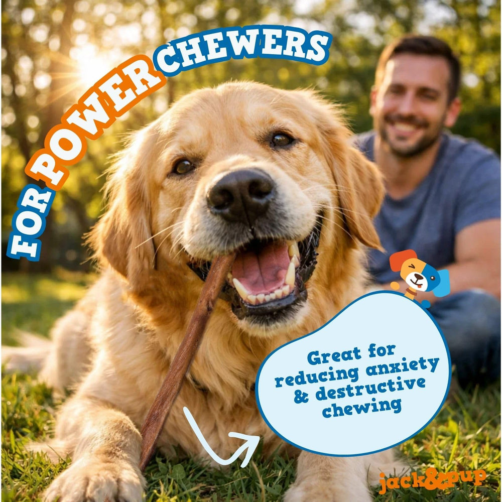Jack&Pup bully stick raw-stick closeup highlights thick texture for power chewers.