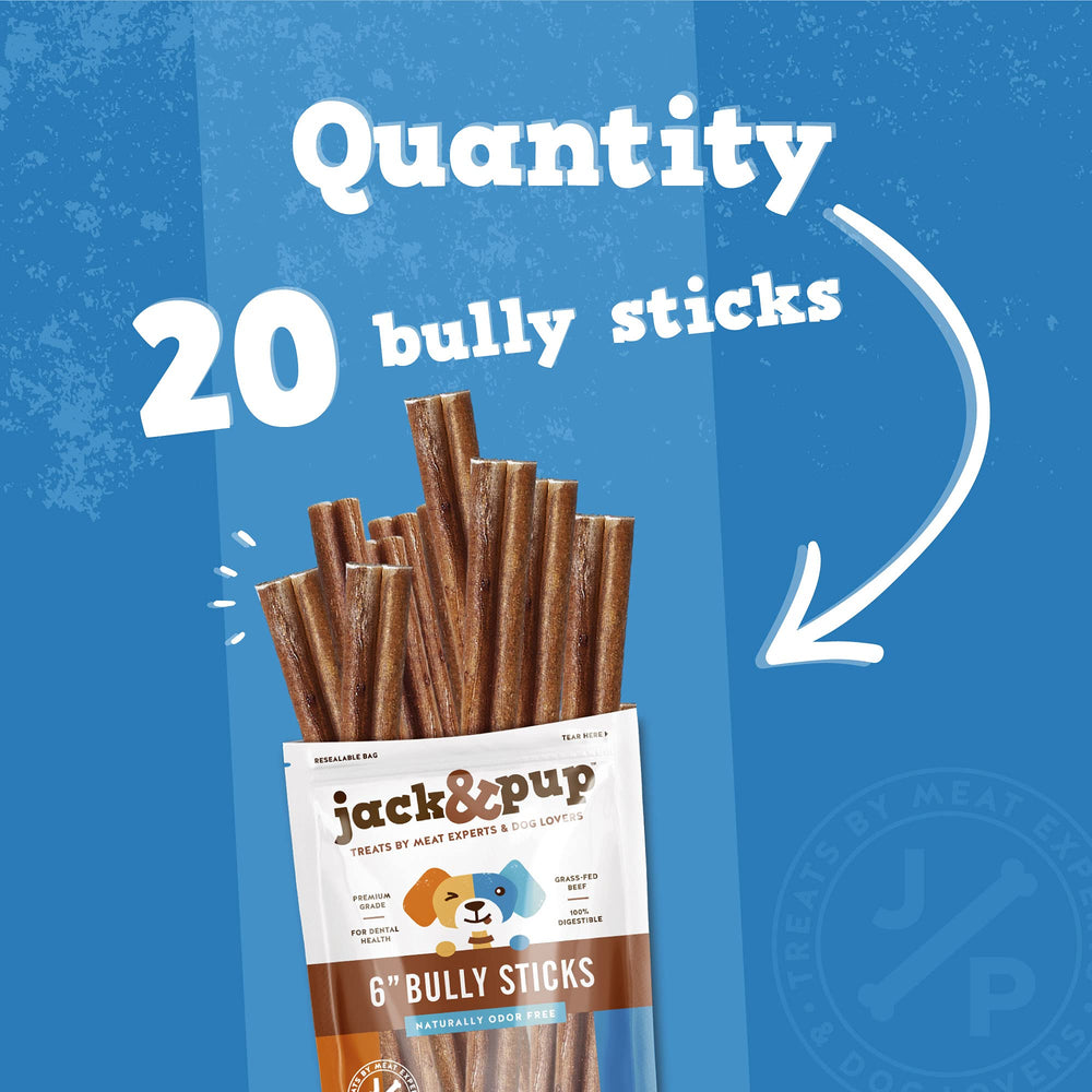 Jack&Pup 6 Inch Bully Sticks dog chewing action showing durability