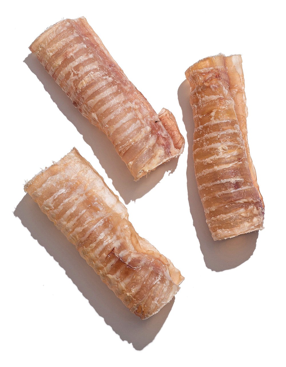 JackPup beef trachea close-up shows natural texture for satisfying chews