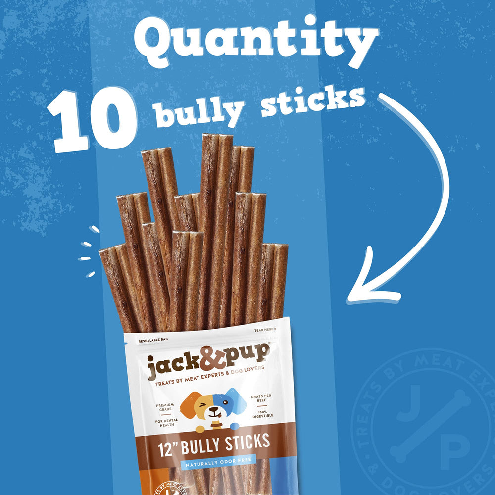 Dog chewing Jack&Pup bully stick during playtime.