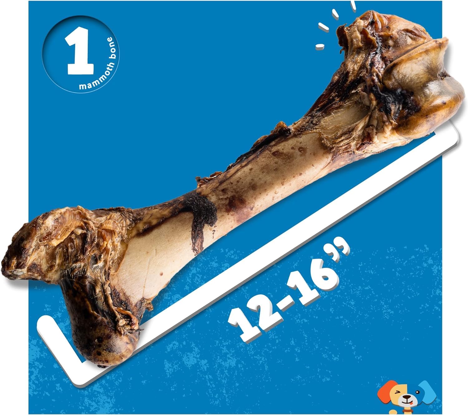 Jack&Pup Dental health-friendly beef bone suggests tartar control potential.