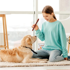 Dog happily chewing a Jack&Pup collagen stick.