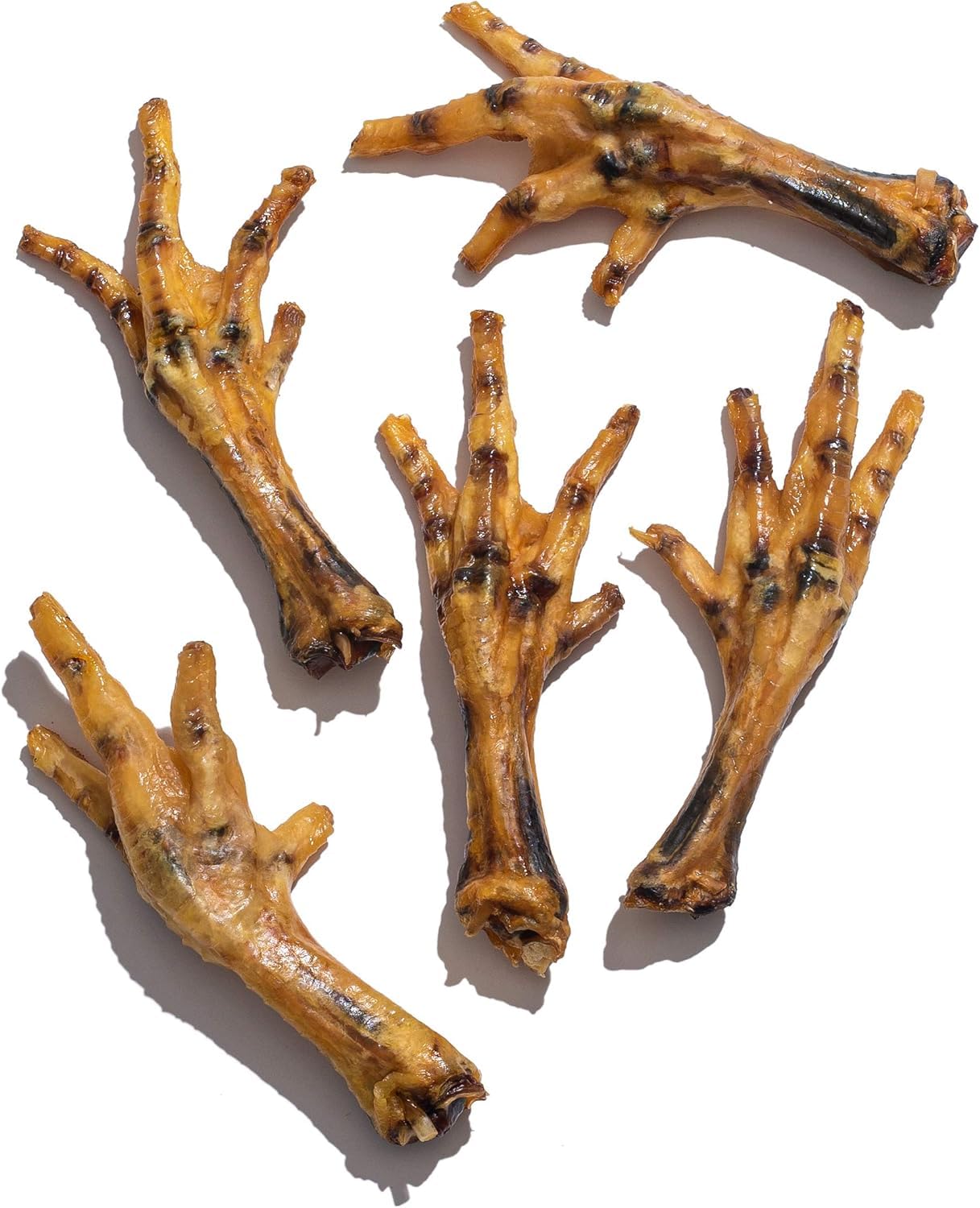 A dog enjoys Jack&Pup dried chicken feet, a tasty chew.