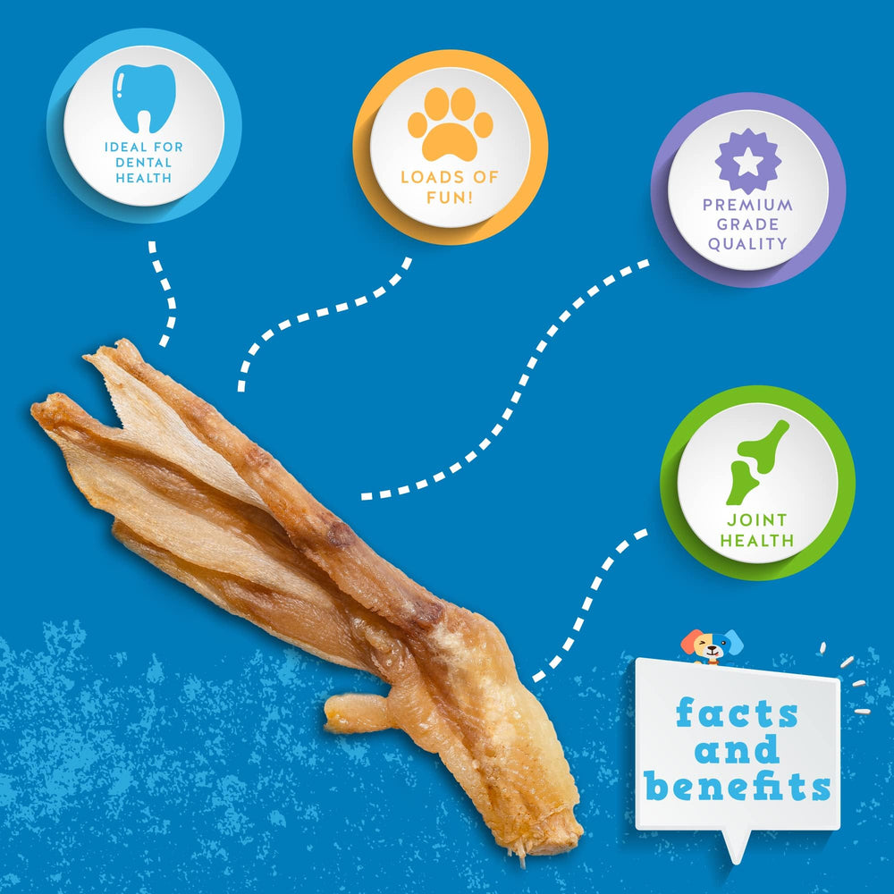 Close-up texture of Jack&Pup duck feet chew showing crunch