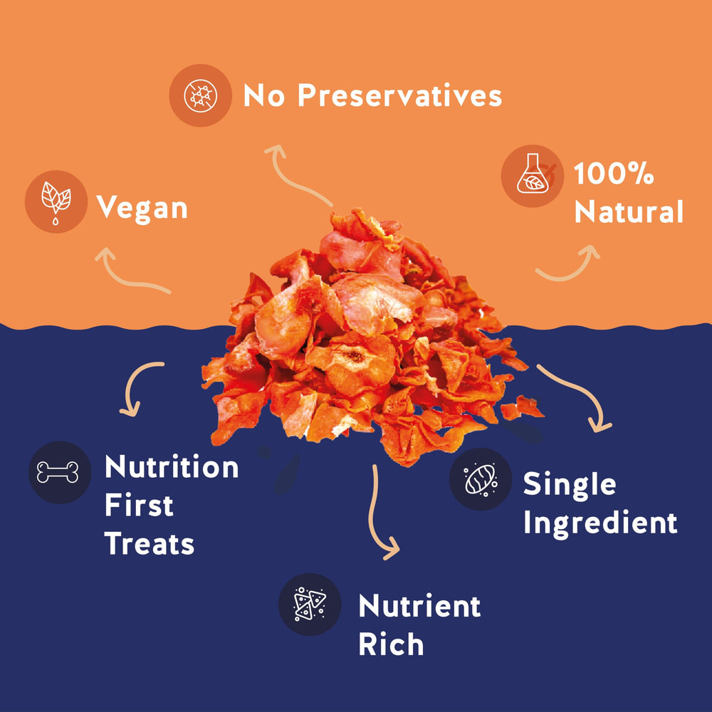 Jack&Pup Healthy Hypoallergenic Dog Treats, single-ingredient carrot chews, gentle on digestion.