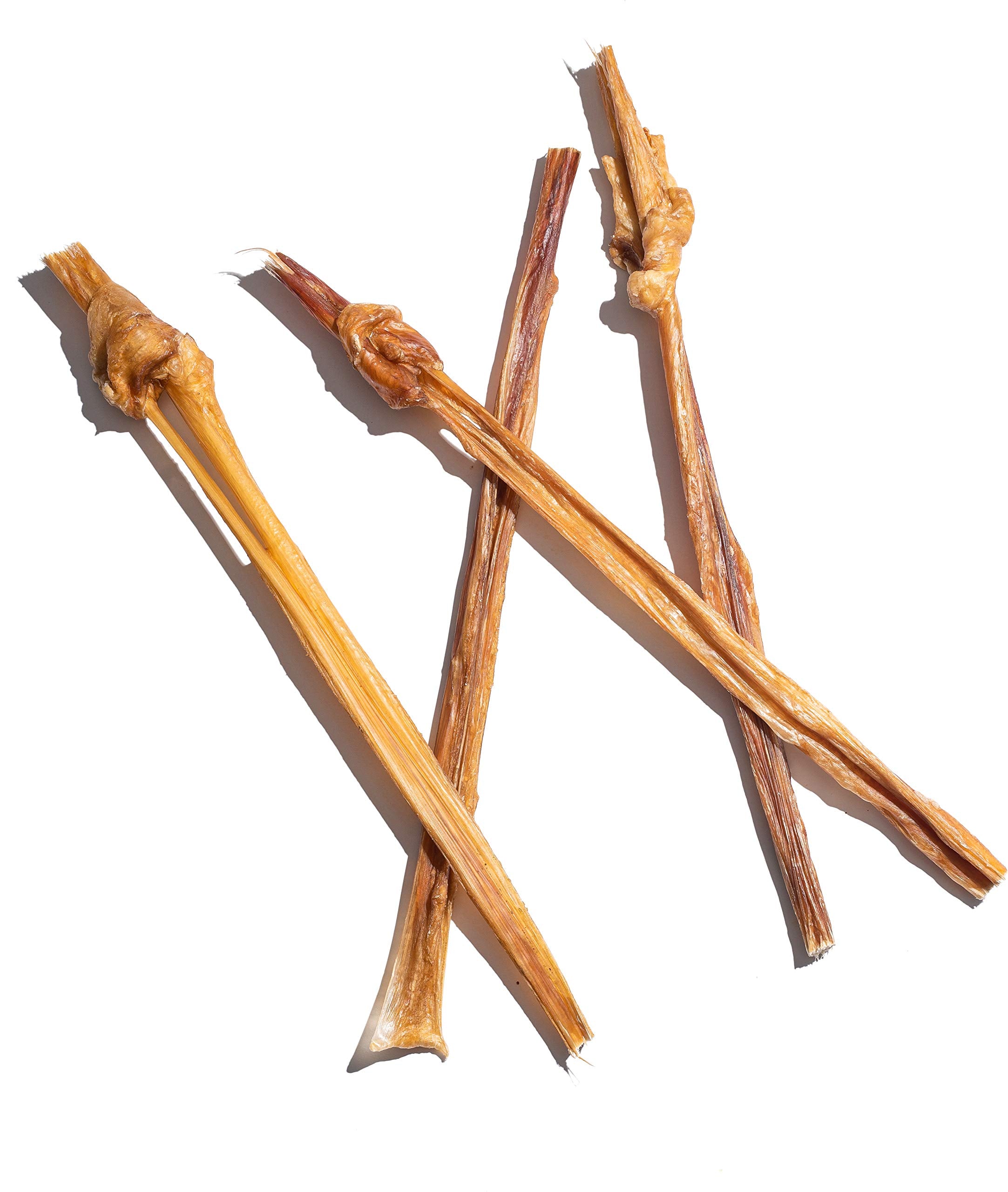 Close-up of a 12-inch junior bully stick with natural beef flavor.