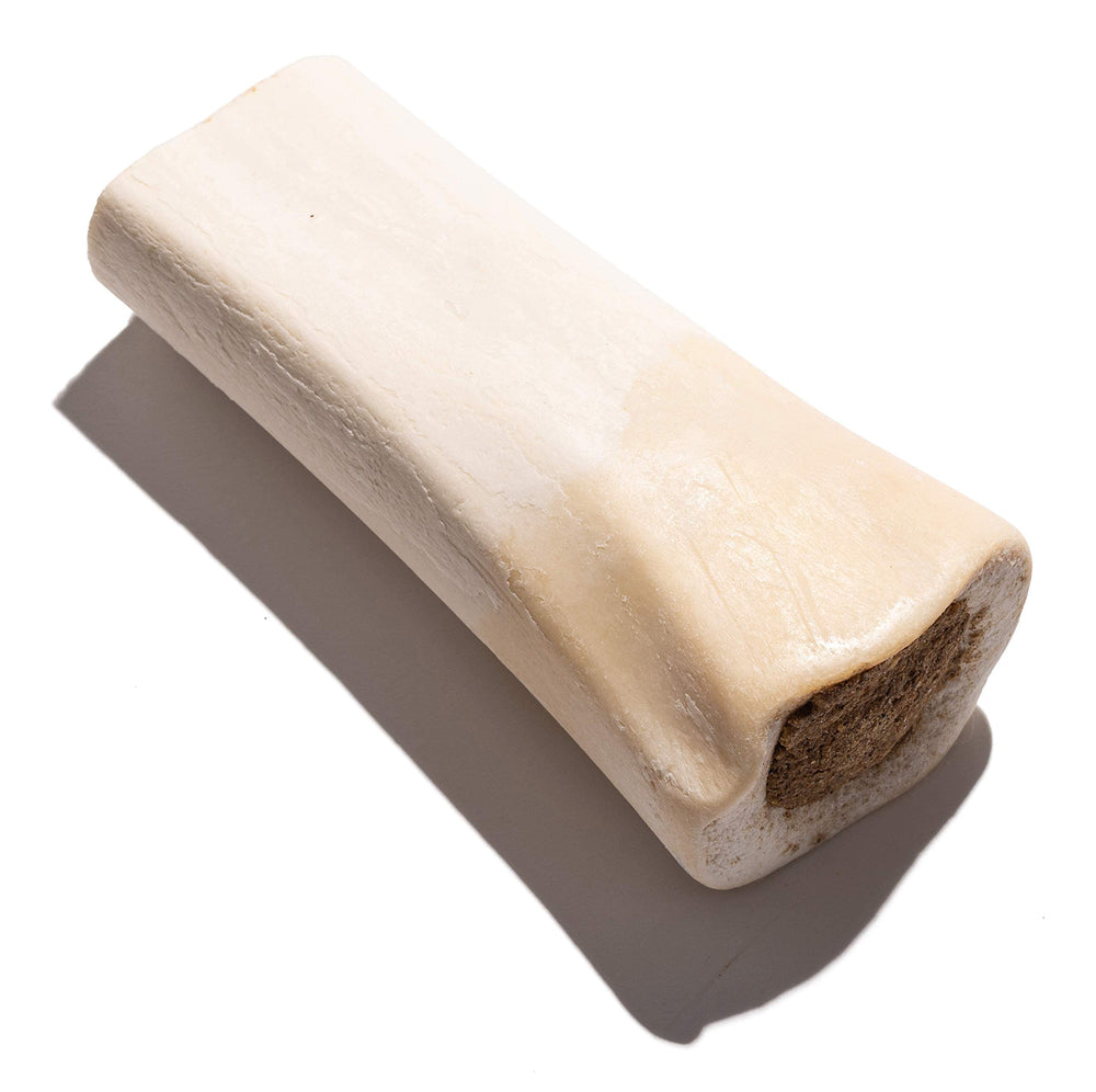 Jack&Pup durable bone designed for aggressive chewers in large breeds