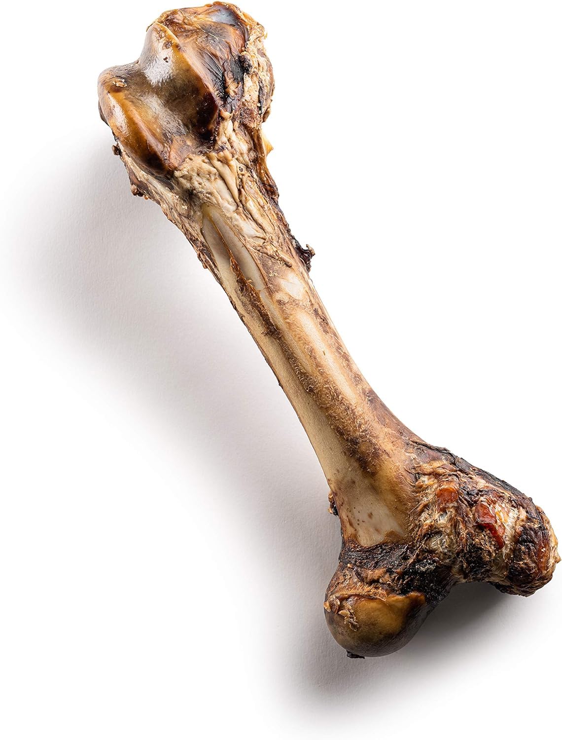 Jack&Pup Mammoth Bone closeup of two knuckles for durability.