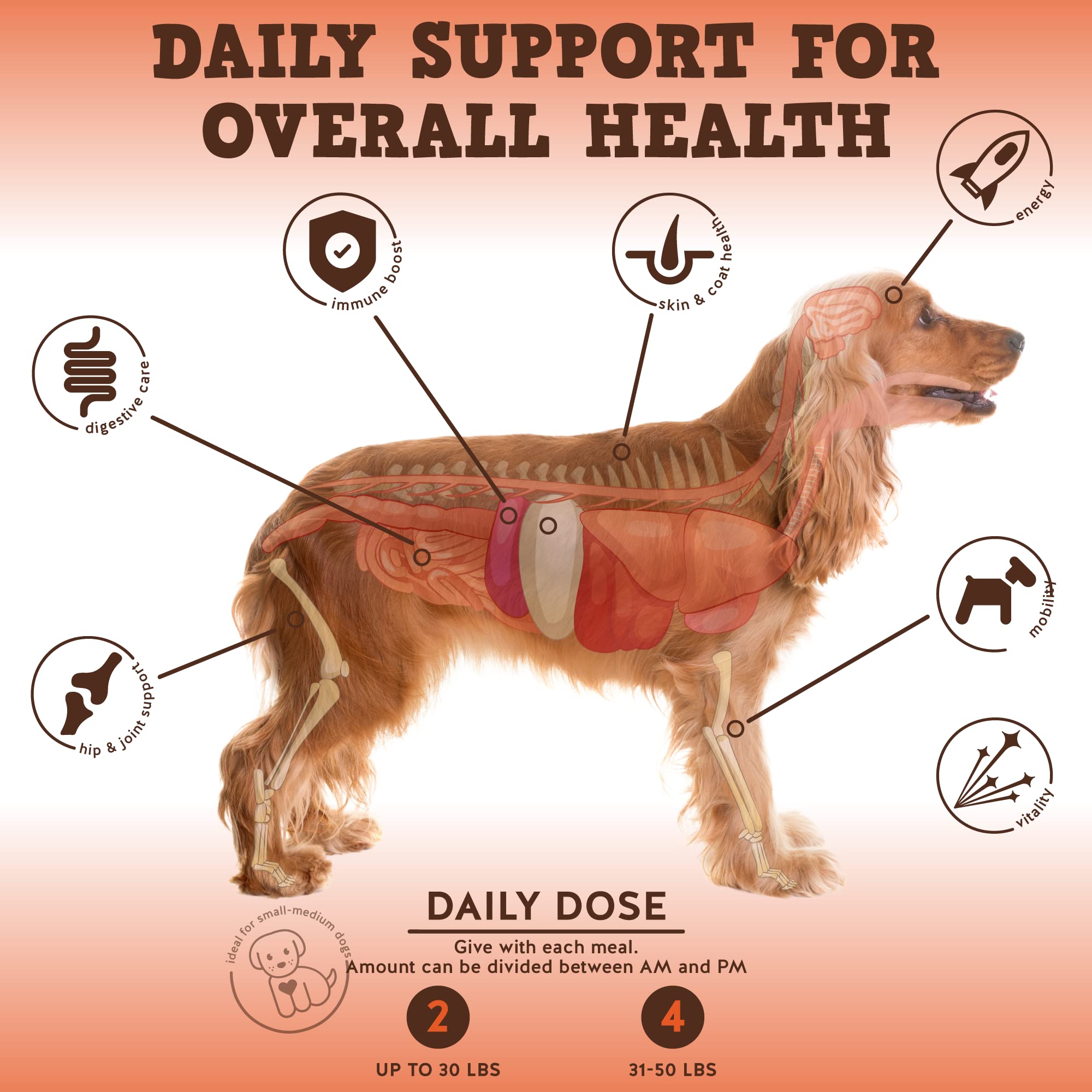 Jack&Pup Multi-Buddy bottle and label highlighting probiotics and joint support