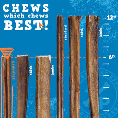 Jack&Pup odor-free bully stick with natural beef flavor for mess-free chews.