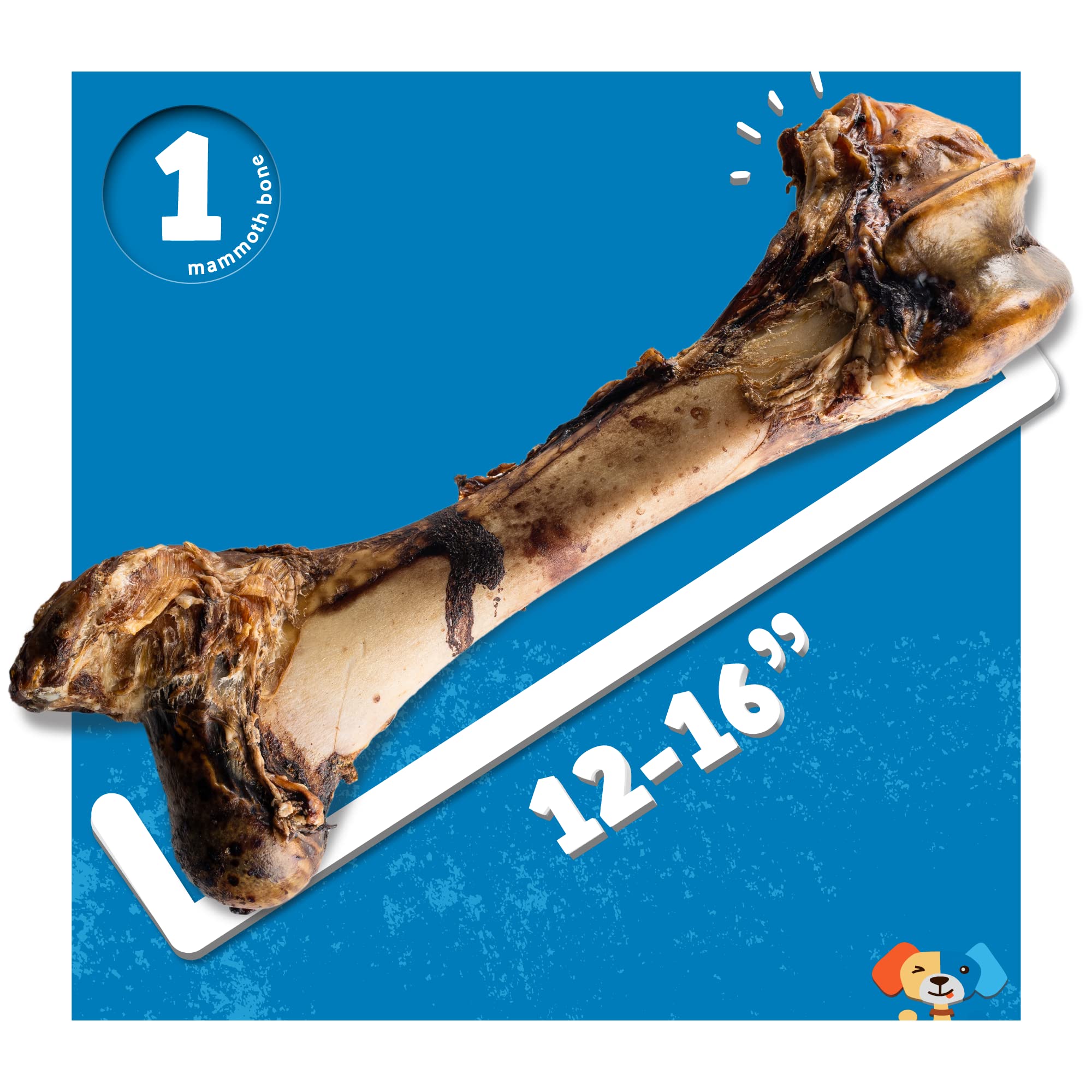 Jack&Pup Odor-free natural dog bone shown for clean, long-lasting chews.