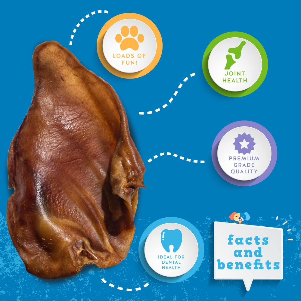 Jack&amp;Pup Pig Ear for Dogs—texture close-up demonstrating durable, single-ingredient chew.