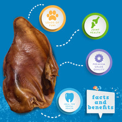 Jack&amp;Pup Pig Ear for Dogs—texture close-up demonstrating durable, single-ingredient chew.