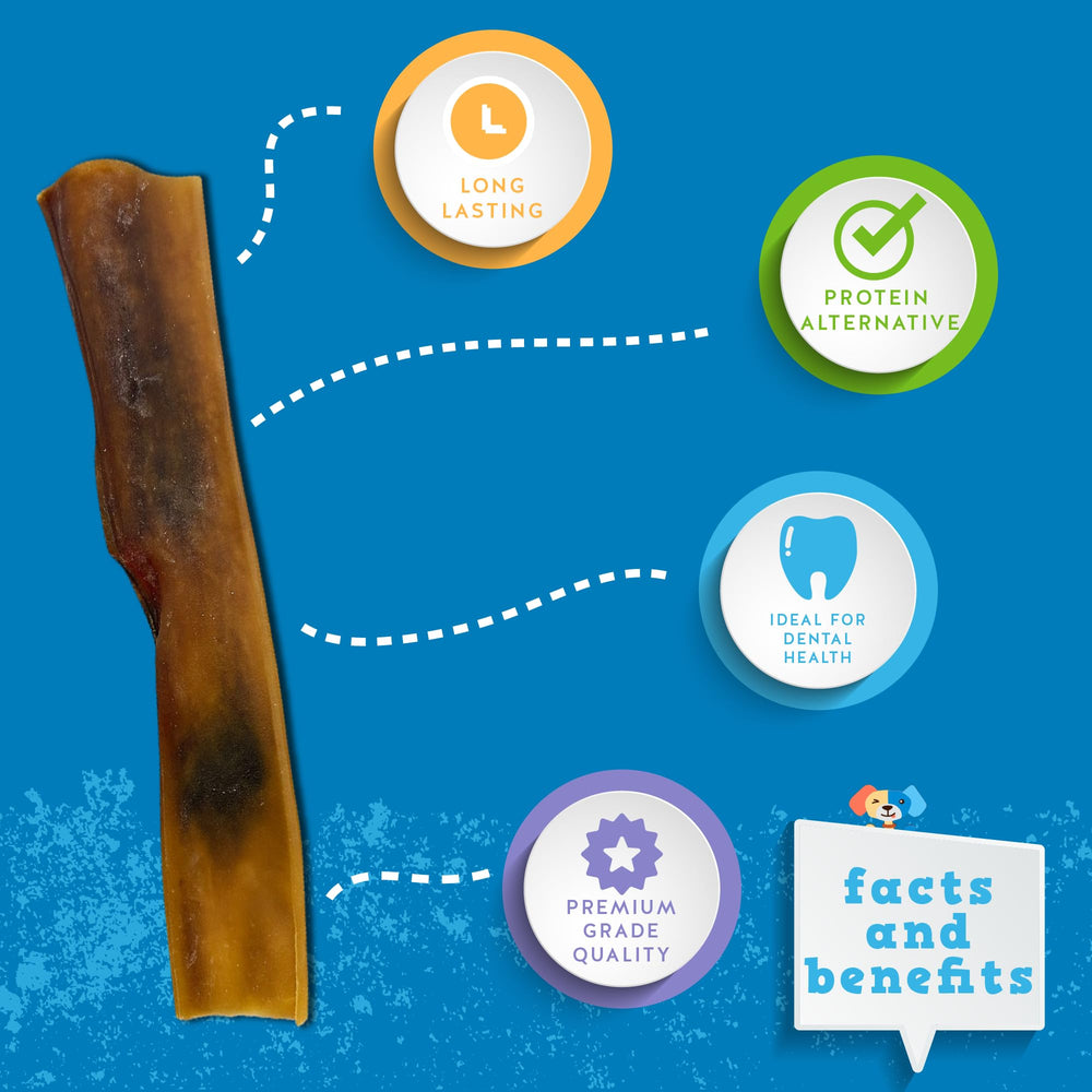 Jack&Pup rawhide-free camel skin chews offer a safe alternative.