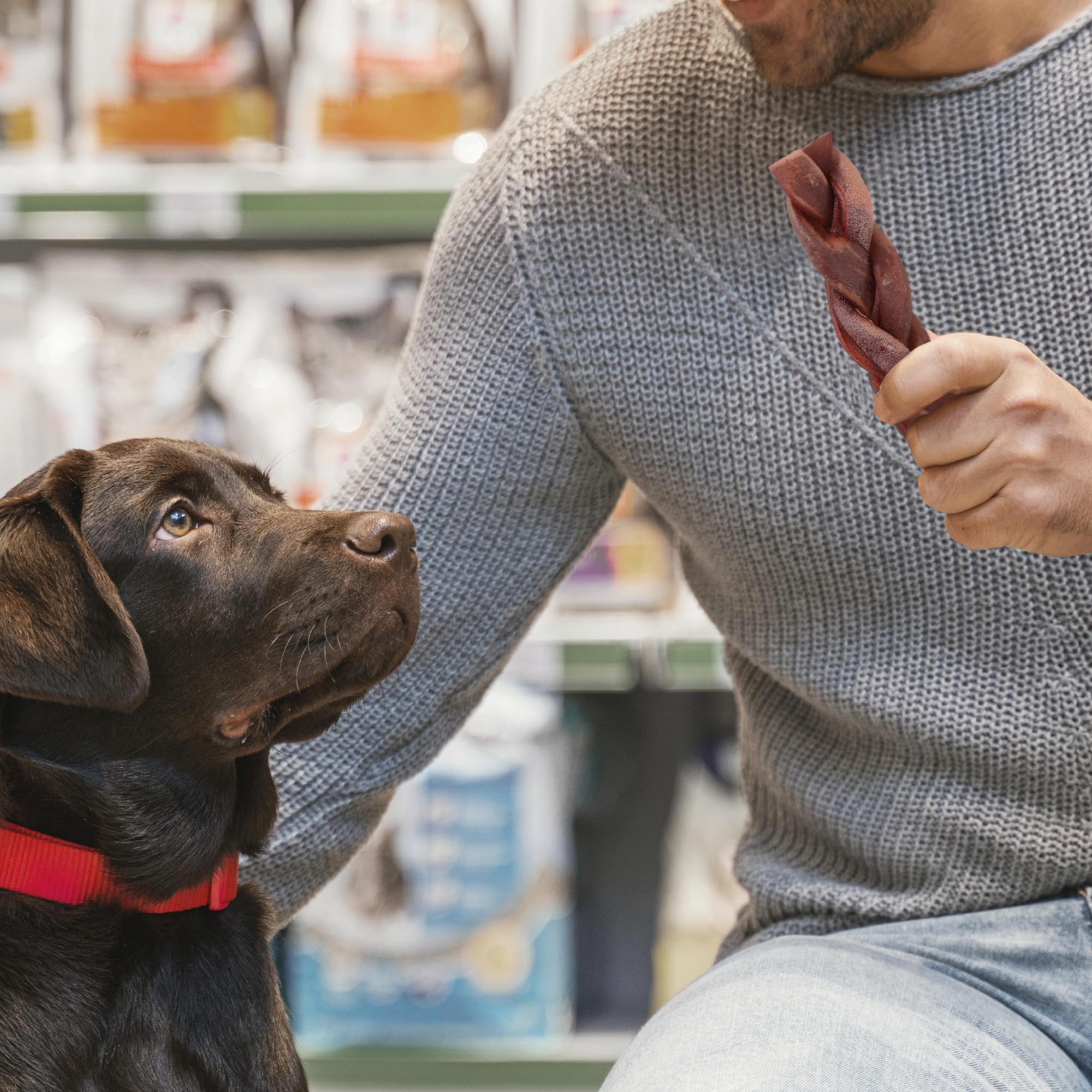 Jack&Pup single-ingredient collagen chews for dogs on a clean panel