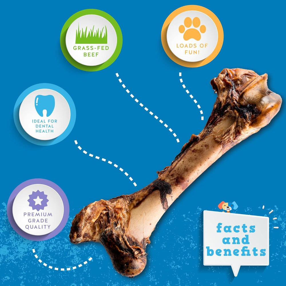 Jack&Pup Smoked beef tendon chunks display rich aroma and texture.