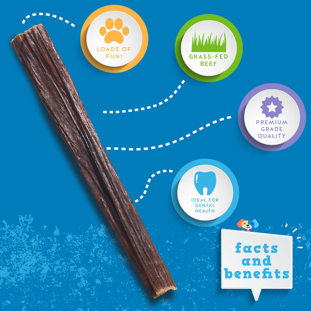 Jack&Pup texture close-up reveals chewy, digestible beef sticks for dogs.