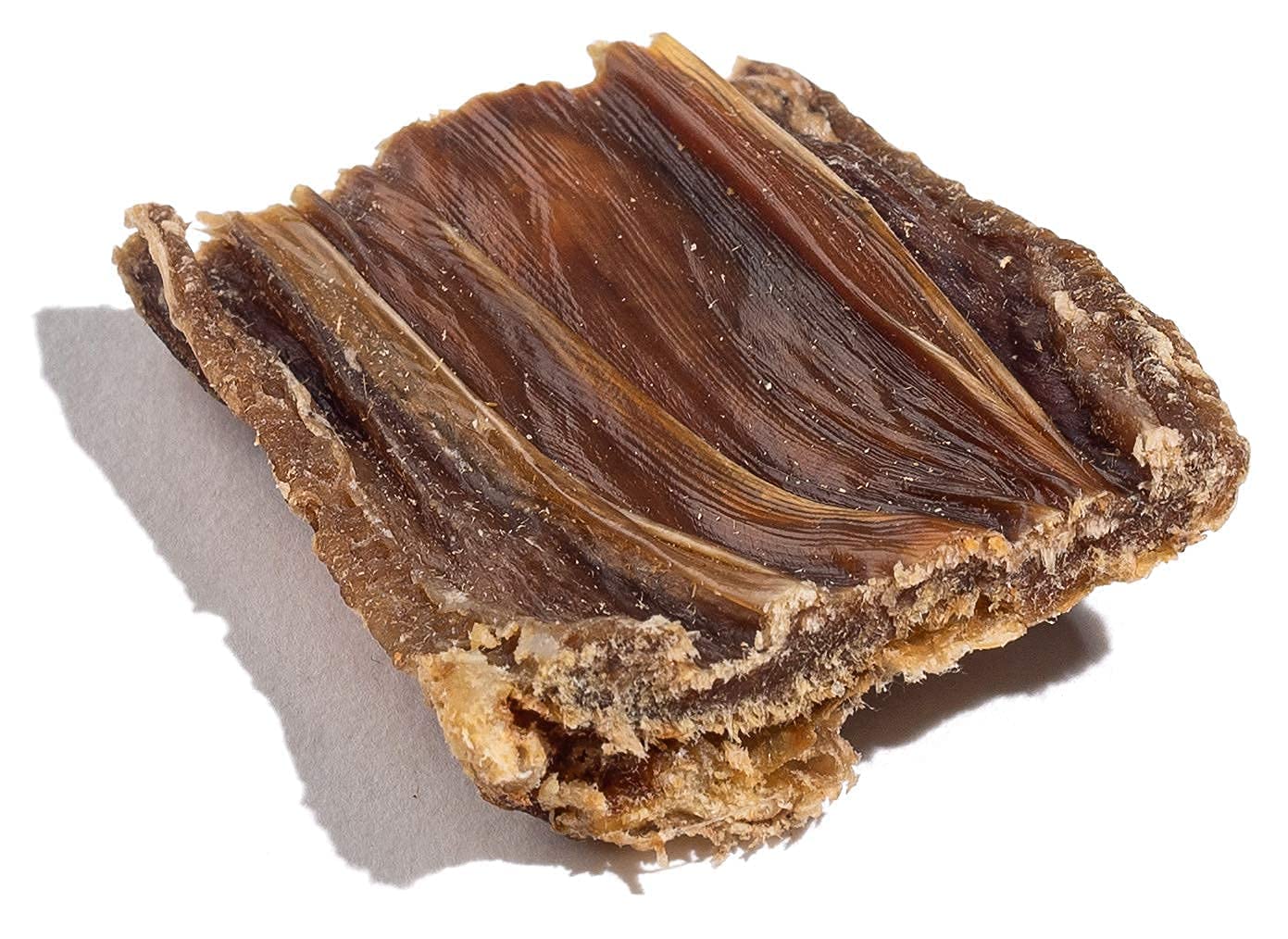 Jack&Pup Training Reward Chew captures motivation during training sessions.