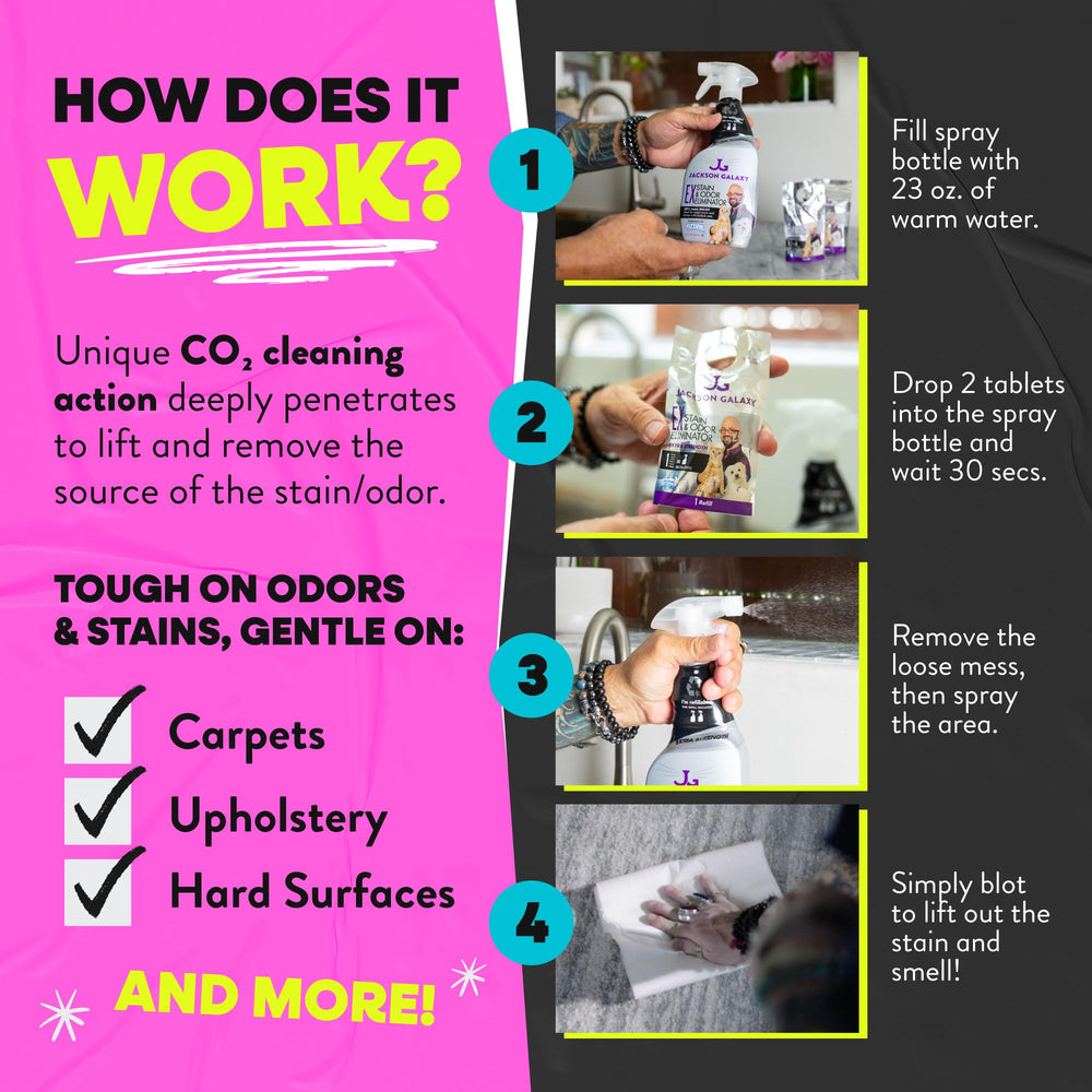 Jackson Galaxy EX CO2 bubbles activating during cleaning process
