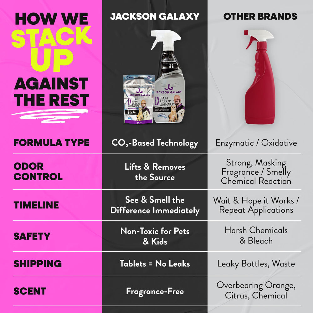 Jackson Galaxy EX home setup with pets and clean surfaces